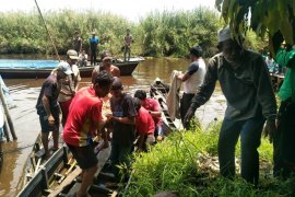 Korban terkaman buaya di Inhil ditemukan tewas. Begini kondisinya