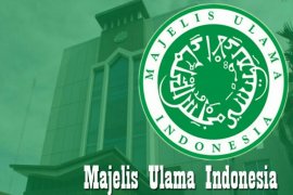 MUI minta penyelenggaraan Shalat Id perhatikan zonasi
