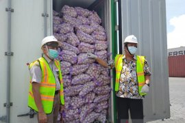 52.000 ton bawang putih impor sudah masuk Indonesia