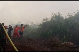 3 wilayah jadi fokus utama Tim Satgas Karhutla Riau