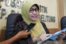 Penumpang angkutan udara di Bandara Bangka Belitung turun 21,02 persen