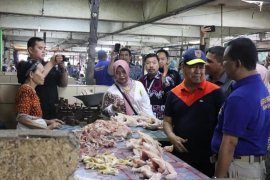 Harga ayam anjlok Disdag Kalsel bantu jual ke SKPD