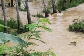 Hujan lebat yang mengguyur wilayah Kabupaten Mesuji dalam seminggu terakhir mengakibatkan banjir yang menggenangi permukiman warga dan ratusan hektare kebun mas Page 3 Small