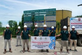 Farmers in Tabalong produce disinfectant from palm shell