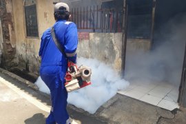 Jubir Pemerintah: Waspadai Demam Berdarah di tengah pandemi COVID-19