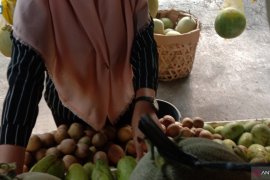 Harga jeruk manis di Banda Aceh capai Rp40 ribu per kilogram
