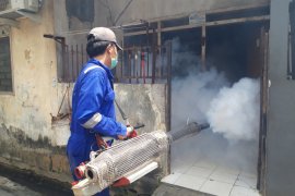 Kasus DBD di Kota Jambi hingga April mencapai 552 kasus