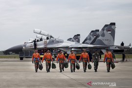 Partai NasDem: TNI AU harus mampu jaga pertahanan udara Indonesia