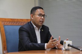 Anggota DPR ingin pemerintah pastikan kebutuhan daging dalam negeri