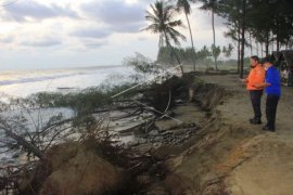 Abrasi Pantai Aceh Barat Makin Meluas Page 1 Small