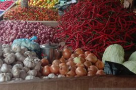Harga bawang putih di pasar  tradisional Ambon turun