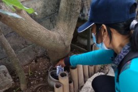 Pemkot Denpasar minta warga tingkatkan kewaspadaan penyakit DBD