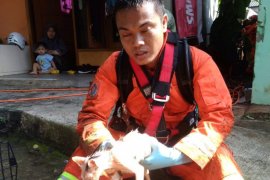 Enam orang petugas damkar dikerahkan untuk evakuasi kucing terperosok di sumur
