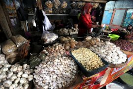 Harga bawang putih turun jelang ramadhan