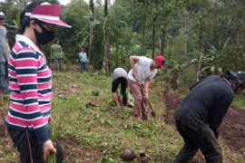 Umat Paroki Kembes Tanam Bahan Pangan Antisipasi Krisis Ekonomi