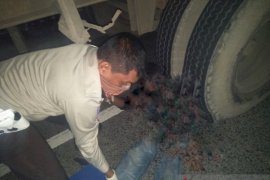 Usai tabrak gerobak sayur, pengendara motor tewas dalam kecelakaan libatkan truk