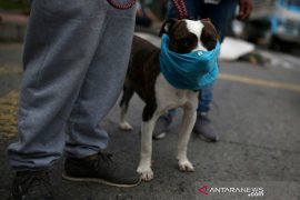 Kasus COVID-19 di Kolombia meningkat di atas 50.000