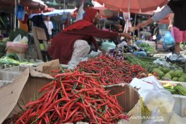 Harga cabai merah  di Palembang turun Page 2 Small