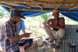 Kisah Waryono budidayakan semangka demi keluarga