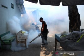 40 orang di daerah ini terjangkit DBD