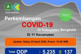 ODP COVID-19 di Bengkalis tercatat 5.235 orang, 74 persen selesai karantina mandiri