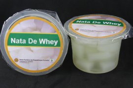 Balitbangtan kembangkan whey susu untuk penambah imunitas