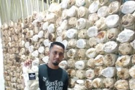 Genggam Dunia dengan Jadi Petani Milenial