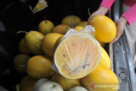 Permintaan semangka tinggi di bulan Ramadhan Page 3 Small