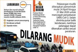Dilarang mudik
