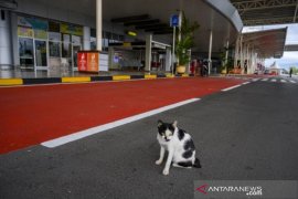 Bandara Mutiara Sis Aljufri lengang Page 1 Small