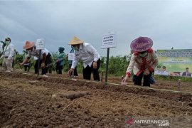 Kutim canangkan program pemanfaatan lahan dan pekarangan