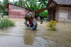 Bencana di Sulteng fenomena alam atau hutan rusak?