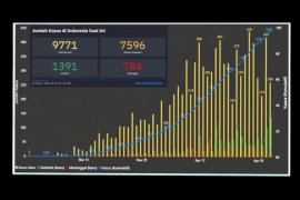Greenpeace minta safe house karhutla segera disiapkan