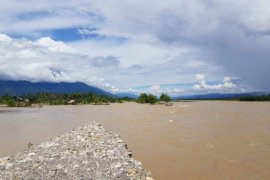 Tanggul sungai 250 meter jebol, sawah warga di Aceh Tenggara terendam