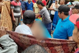 Pengembala ternak di Simalungun tewas tertimpa pohon sawit