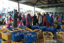 Pandemi COVID-19 tidak pengaruhi aktivitas lelang TPI Batang