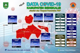 Update terbaru,  Tercatat 5.869 ODP COVID-19 di Bengkalis