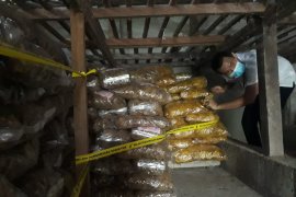 BPOM Inhil amankan kerupuk mengandung boraks