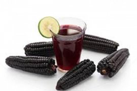 Jagung ungu inovasi Balitbangtan dinilai mampu  tingkatkan daya tahan