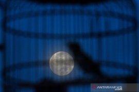 Fenomena supermoon terakhir pada 2020
