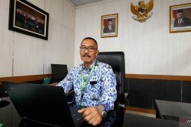 Balitbangtan wujudkan pertanian lahan rawa dua kali tanam setahun