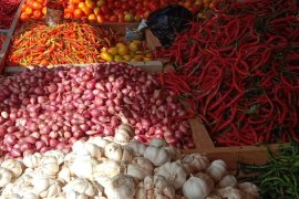 Harga bawang putih di pasar tradisional Ambon Rp20.000/Kg