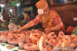 KENAIKAN HARGA AYAM POTONG DI PALEMBANG Page 3 Small