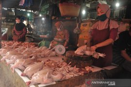 KENAIKAN HARGA AYAM POTONG DI PALEMBANG Page 2 Small