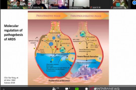 Pasien sembuh dari COVID-19 berisiko alami fibrosis