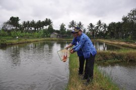 DP3 Sleman manfaatkan jejaring media sosial atasi kesulitan pemasaran ikan