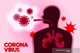 Tujuh pasien COVID-19 di Sulawesi Tengah sembuh