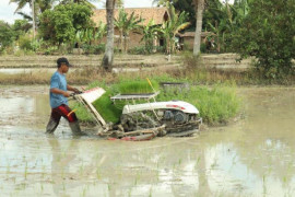 Petani Ogan Komering Ilir percepat musim tanam jaga ketahanan pangan nasional