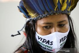 Warga Amazon  lebih memilih obat herbal racikan sendiri untuk COVID-19