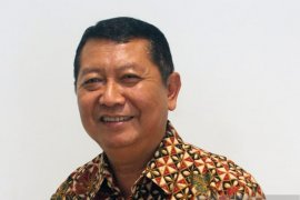 Gapki optimis sawit bertahan di tengah pandemi COVID-19